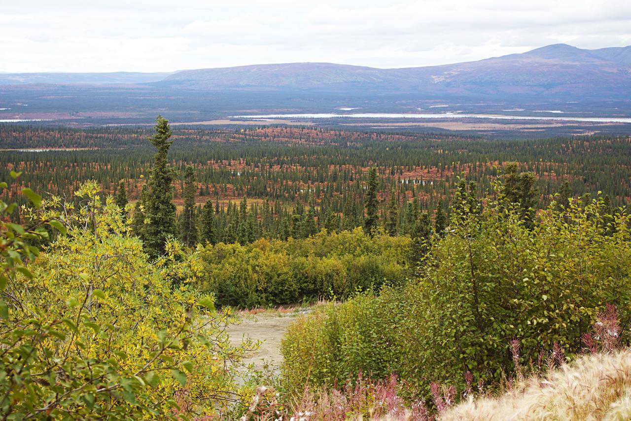 Alpine Creek Lodge Cantwell Экстерьер фото